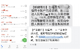 多伦为什么选择专业追讨公司来处理您的债务纠纷？